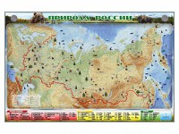 Электронно-информационный (маркерный) стенд "Природа России" - fgospostavki.ru - Шумерля