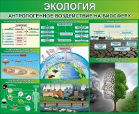 Стенд "Экология. Антропогенное воздействие на биосферу" - fgospostavki.ru - Шумерля