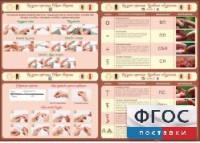 Стенд "Вязание крючком" - fgospostavki.ru - Шумерля