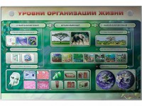Электрифицированный стенд "Уровни организации жизни" - fgospostavki.ru - Шумерля