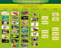 Стенд "Систематика животных" - fgospostavki.ru - Шумерля