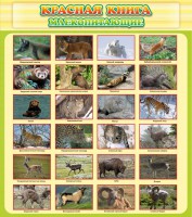 Стенд "Красная книга - млекопитающие" - fgospostavki.ru - Шумерля