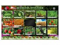 Комплект оборудования "Живой уголок" (растения) - fgospostavki.ru - Шумерля
