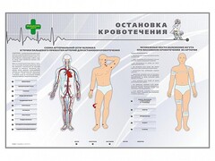 Электрифицированный стенд "Остановка кровотечения" - fgospostavki.ru - Шумерля