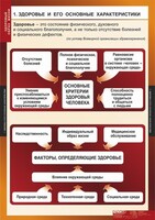 Комплект таблиц. ОБЖ. Здоровый образ жизни. - fgospostavki.ru - Шумерля
