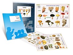 Комплект кодотранспарантов "Грибы" - fgospostavki.ru - Шумерля