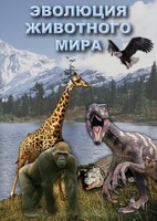 DVD "Эволюция животного мира" - fgospostavki.ru - Шумерля