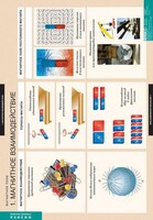 Комплект таблиц. Физика. Магнитное поле. - fgospostavki.ru - Шумерля