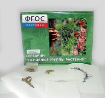 Гербарий "Основные группы растений" (52 листа) - fgospostavki.ru - Шумерля