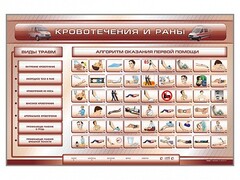 Трехсекционный базовый комплект "Травмы. Кровотечения. Ожоги" для учащихся общеобразовательных учреждений - fgospostavki.ru - Шумерля