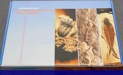 Коллекция "Палеонтологическая" (16 образцов) - fgospostavki.ru - Шумерля