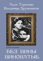 DVD "Без вины виноватые" - fgospostavki.ru - Шумерля