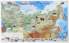 Магнитные карточки "Животные" - fgospostavki.ru - Шумерля