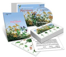 Комбинированное наглядное пособие «Растения» - fgospostavki.ru - Шумерля