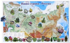 Магнитные карточки "Растения" - fgospostavki.ru - Шумерля