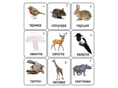 Набор магнитных карточек по музыке "Животные" (9 штук) - fgospostavki.ru - Шумерля