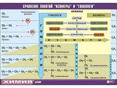 Таблица демонстрационная "Сравнение понятий изомер и гомолог" (винил 70x100) - fgospostavki.ru - Шумерля
