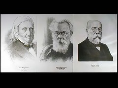 Портреты биологов (26 штук, формат А3) - fgospostavki.ru - Шумерля