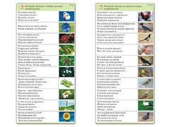 Комплект карточек (10) "Обучающий калейдоскоп. Природа" - fgospostavki.ru - Шумерля