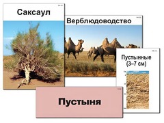 Модель-аппликация "Природные зоны России" (ламинированная) - fgospostavki.ru - Шумерля