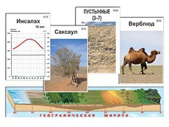 Модель-аппликация "Природные зоны" - fgospostavki.ru - Шумерля