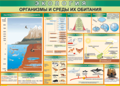 Таблица "Организмы и среды их обитания" (100х140 сантиметров, винил) - fgospostavki.ru - Шумерля