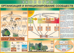 Таблица "Организация и функционирование сообществ" (100х140 сантиметров, винил) - fgospostavki.ru - Шумерля