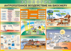 Таблица "Антропогенное воздействие на биосферу" (100х140 сантиметров, винил) - fgospostavki.ru - Шумерля