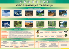 Таблица "Экология. Обобщающие таблицы" (100х140 сантиметров, винил) - fgospostavki.ru - Шумерля