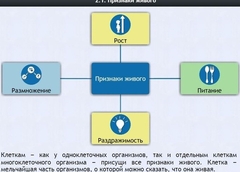Интерактивные курсы. Биология 5 класс. Базовый - fgospostavki.ru - Шумерля