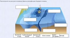 Интерактивные курсы. География 7 класс . Базовый. - fgospostavki.ru - Шумерля