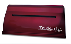 Принтер для печати рельефно-точечным шрифтом Брайля Trident - fgospostavki.ru - Шумерля