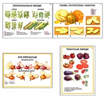 Плакаты ПРОФТЕХ "Ассортимент овощных культур" (12 пл, винил, 70х100) - fgospostavki.ru - Шумерля
