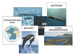 Модель-аппликация "Океаны. Знакомство" (ламинированная) - fgospostavki.ru - Шумерля