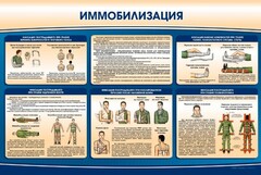 Стенд "Иммобилизация" - fgospostavki.ru - Шумерля