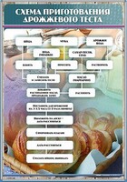 Стенд "Схема приготовления дрожжевого теста" - fgospostavki.ru - Шумерля