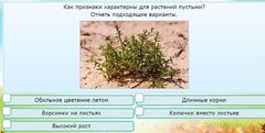 Интерактивные курсы. Окружающий мир 3 класс . Базовый. - fgospostavki.ru - Шумерля