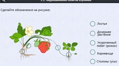 Интерактивные курсы. Биология 7 класс. Расширенный. - fgospostavki.ru - Шумерля