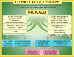 Стенд "Методы селекции и биотехнологии" - fgospostavki.ru - Шумерля