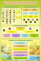 Стенд "Классификация животного мира" - fgospostavki.ru - Шумерля