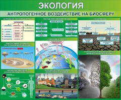 Стенд "Экология. Антропогенное воздействие на биосферу" - fgospostavki.ru - Шумерля
