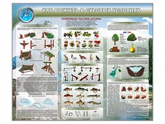 Стенд "Как выжить в суровых условиях" - fgospostavki.ru - Шумерля