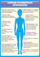 Стенд "Снятие мерок" Вариант 2 - fgospostavki.ru - Шумерля