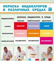 Стенд "Окраска индикаторов в различных средах" - fgospostavki.ru - Шумерля