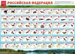 Стенд "Красная книга РФ" - fgospostavki.ru - Шумерля