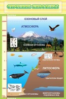 Стенд "Строение биосферы" - fgospostavki.ru - Шумерля
