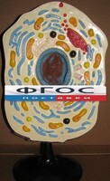 Модель "Клетка животного" - fgospostavki.ru - Шумерля