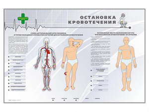 Электрифицированный стенд "Остановка кровотечения" - fgospostavki.ru - Шумерля