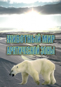 DVD "Животный мир Арктической зоны" - fgospostavki.ru - Шумерля