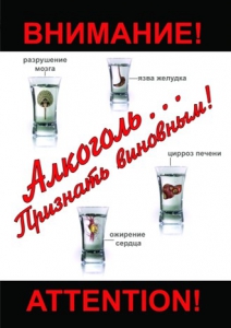 DVD "Алкоголь. Признать виновным" - fgospostavki.ru - Шумерля